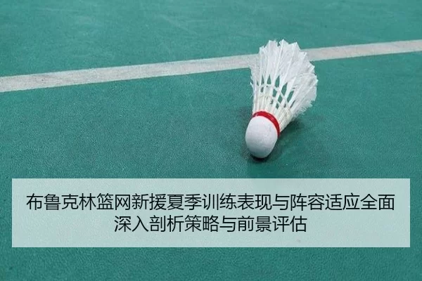 布鲁克林篮网新援夏季训练表现与阵容适应全面深入剖析策略与前景评估