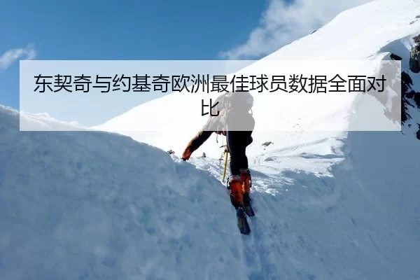 东契奇与约基奇欧洲最佳球员数据全面对比